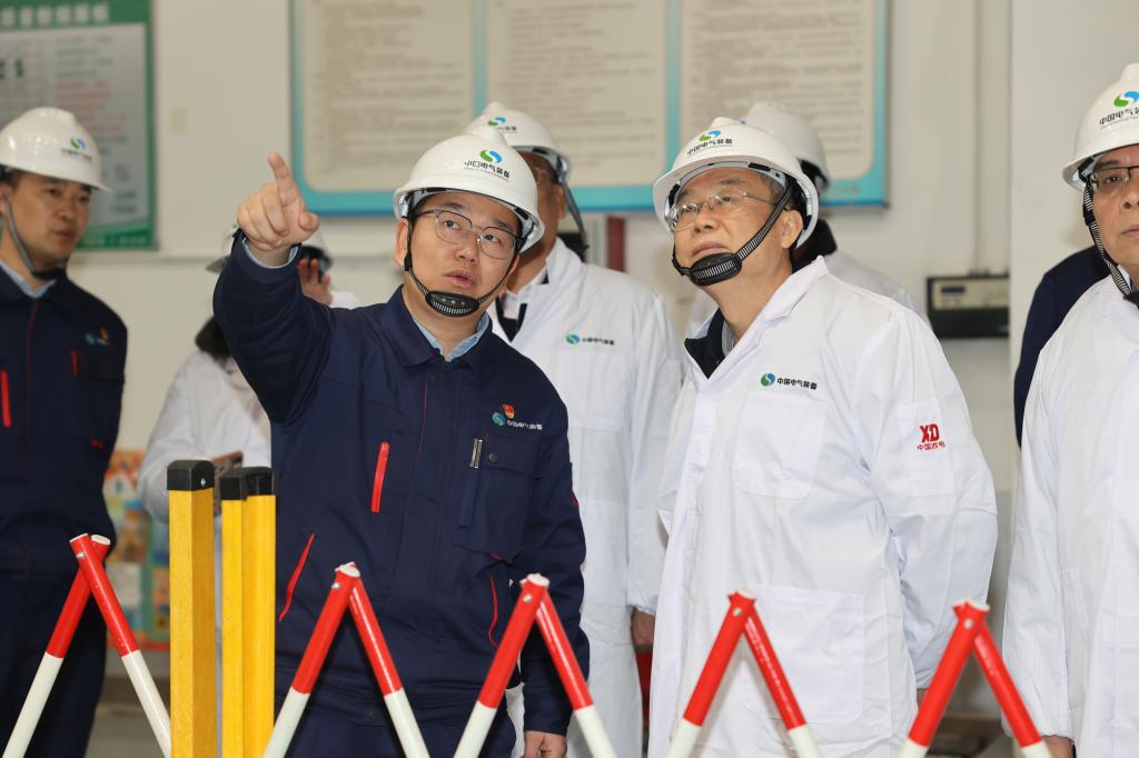 BB99270BED4C51600168CB8EB5F_81B43EFF_11C12